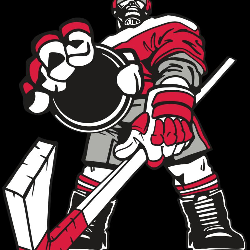 AR3 HOCKEY 08 RQC Thumbnail