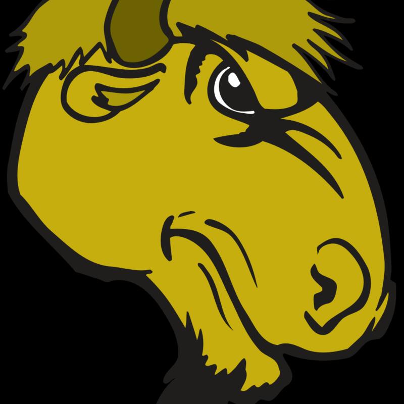 AR BUFFALO 14 RC Thumbnail