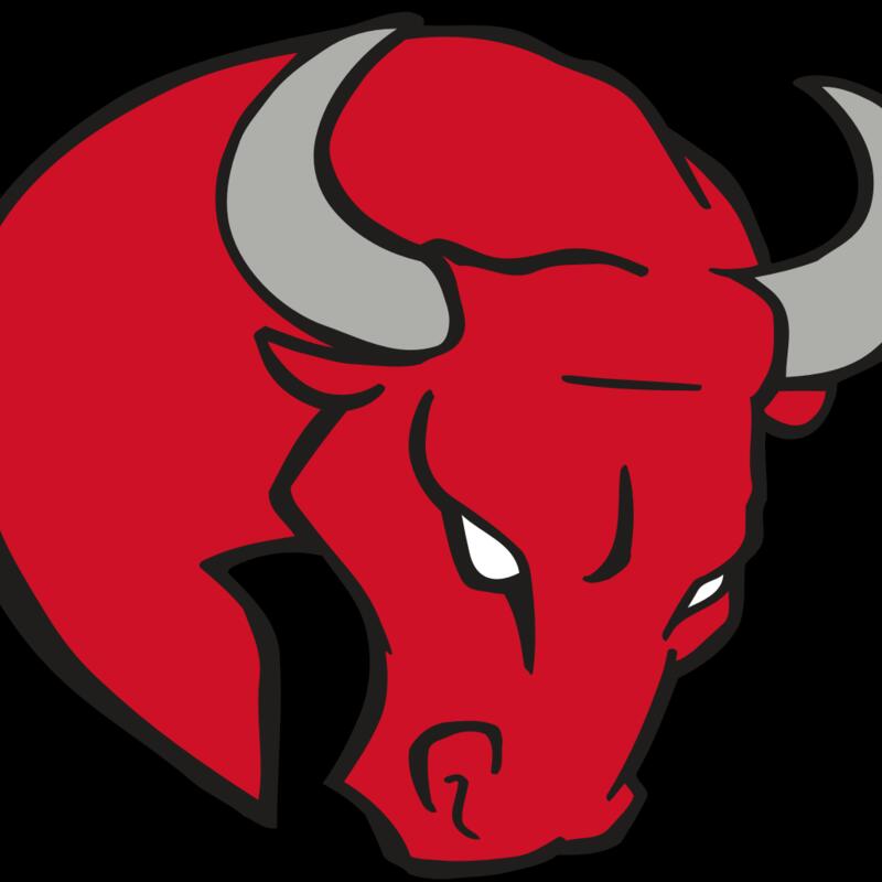 AR BULL 24 RC Thumbnail