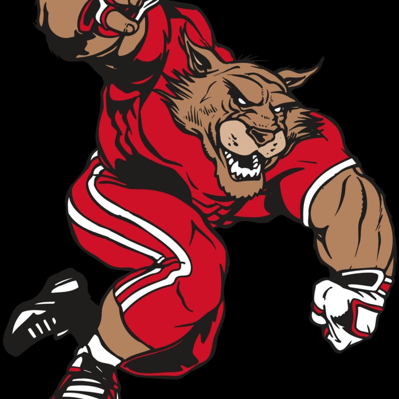 AR WILDCAT 32 RC Thumbnail