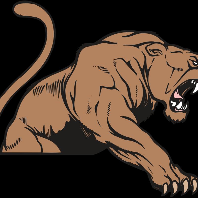 AR COUGAR 55 RC Thumbnail