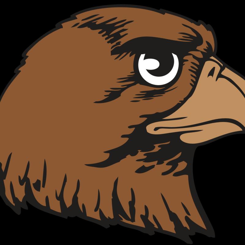 BAW HWK FLCN 05 RC Thumbnail