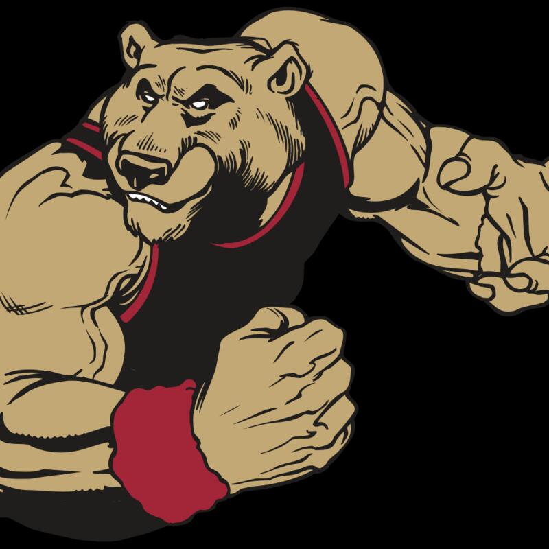 AR BEAR 40 RC Thumbnail