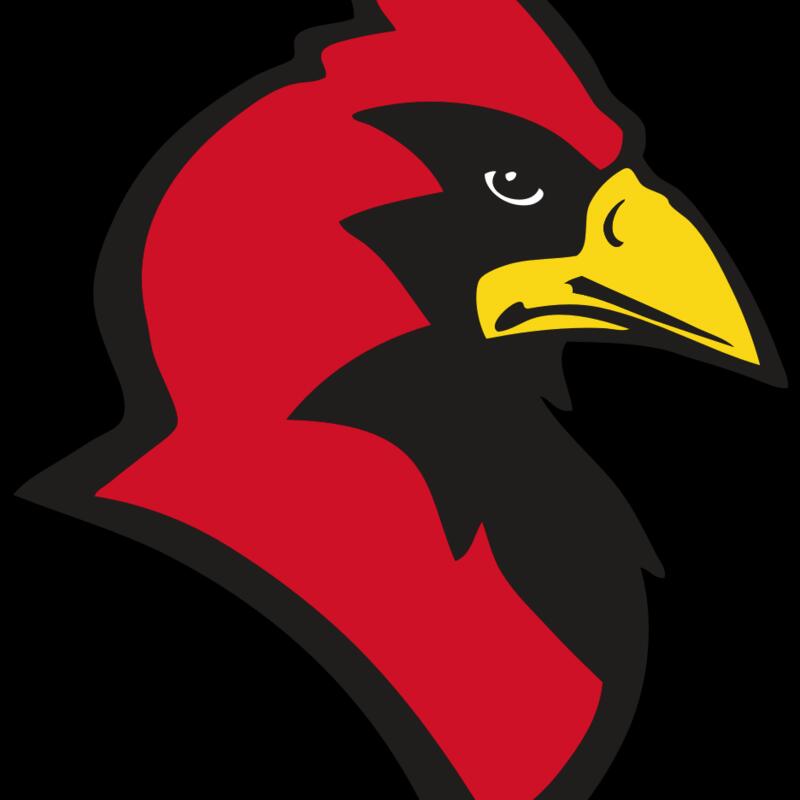 AR CARDINAL 20 RC Thumbnail