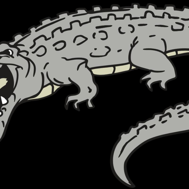 AR GATOR 53 RQC Thumbnail