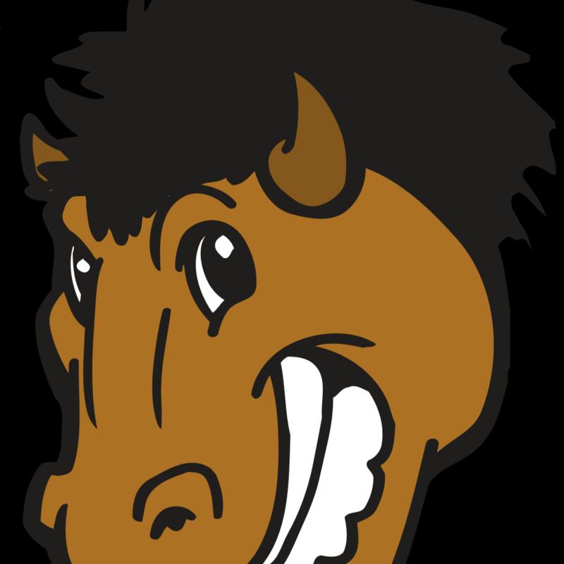 AR BUFFALO 17 RC Thumbnail