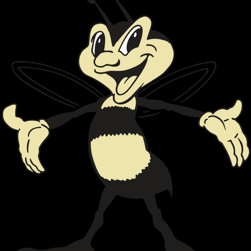 AR BEE 16 RC Thumbnail