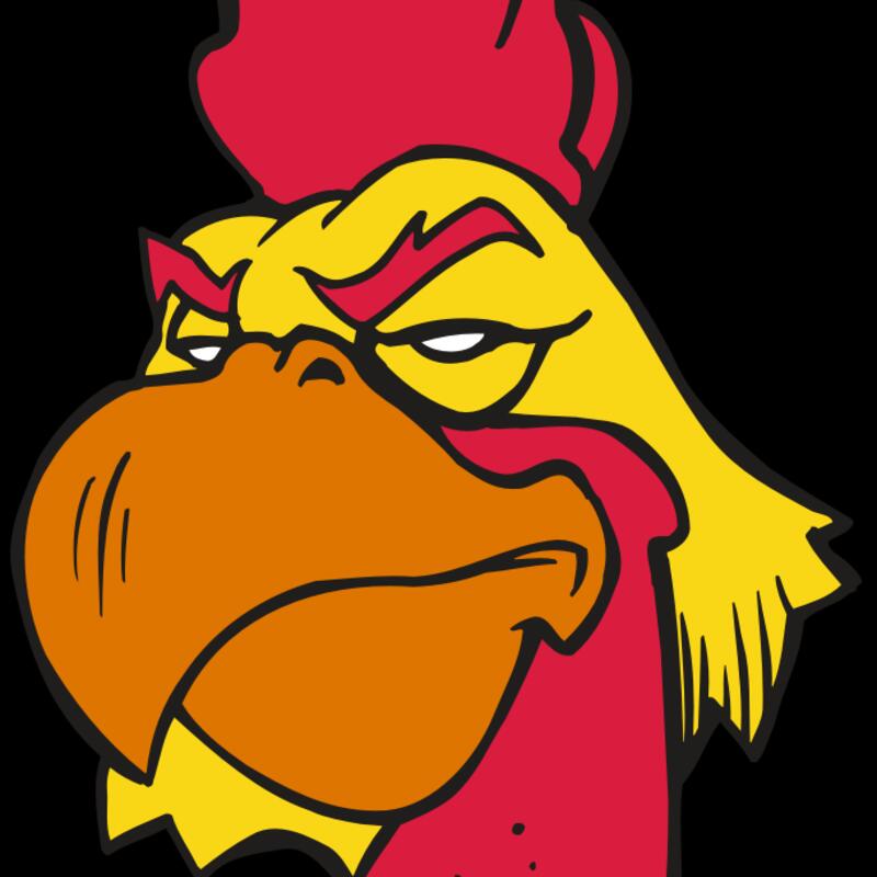 AR5 Gamecock 04 RQC Thumbnail