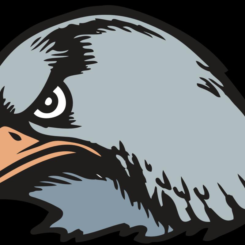 BAW HWK FLCN 03 RC Thumbnail