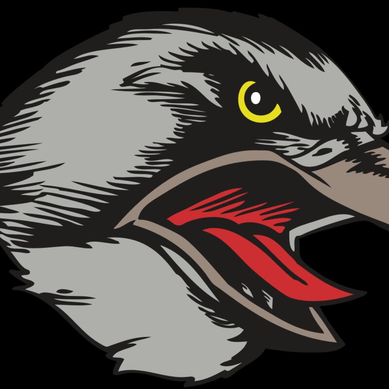 BAW HWK FLCN 13 RC Thumbnail