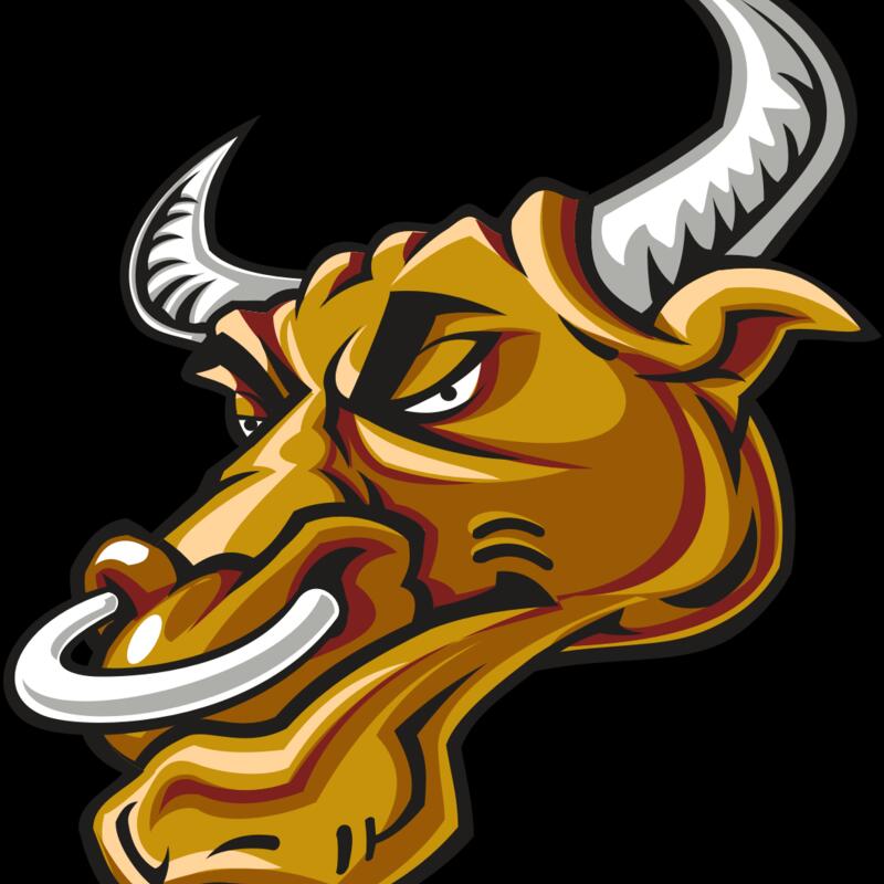 BULL HD0502 RQC Thumbnail