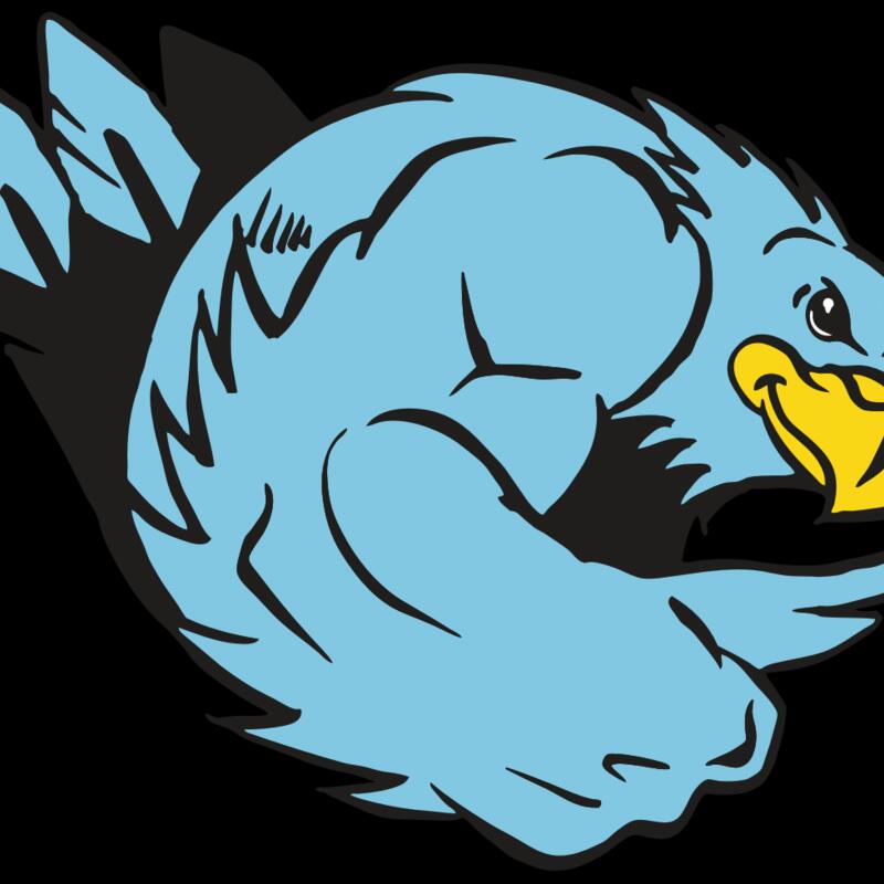 AR HAWK 24 RC Thumbnail