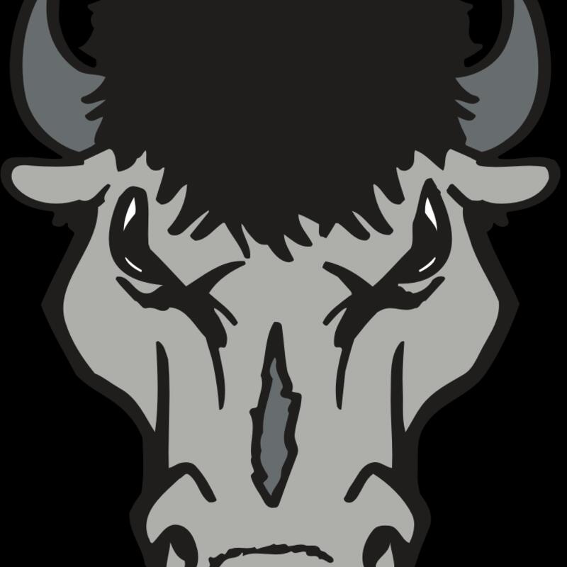 AR BUFFALO 15 RC Thumbnail