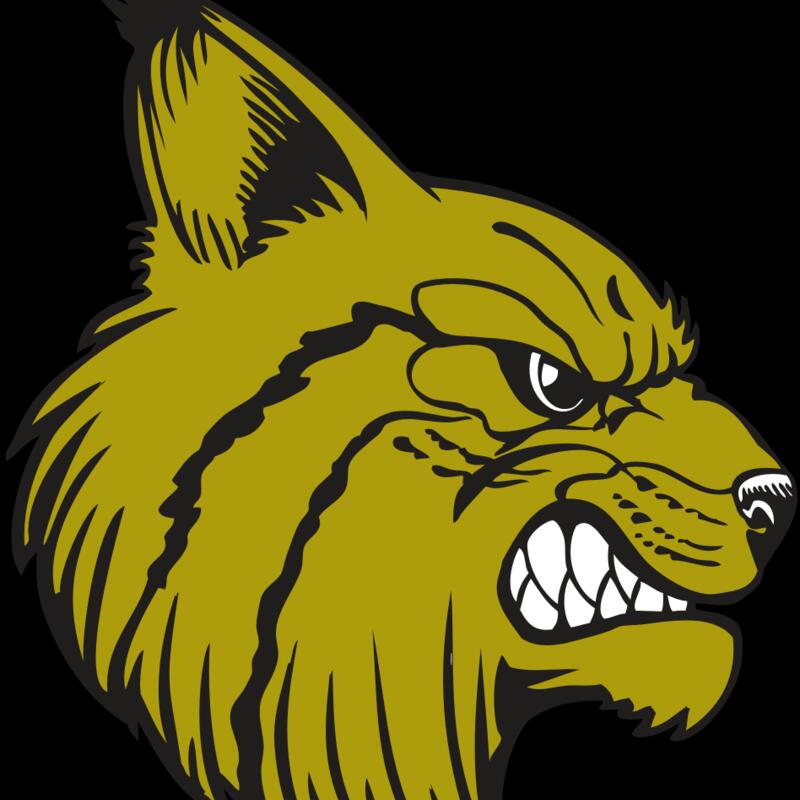 BAW BOBCAT 16 RC Thumbnail