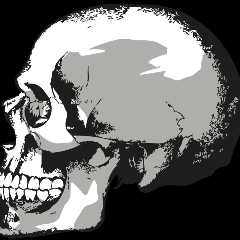 AR24 SKULL 02 RQC Thumbnail