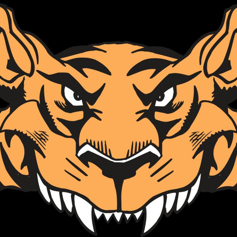 AR5 Tiger 07 RQC Thumbnail