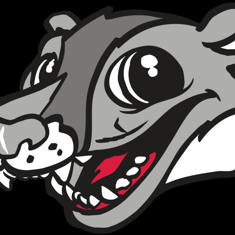 AR WOLVERINE 12 RC Thumbnail