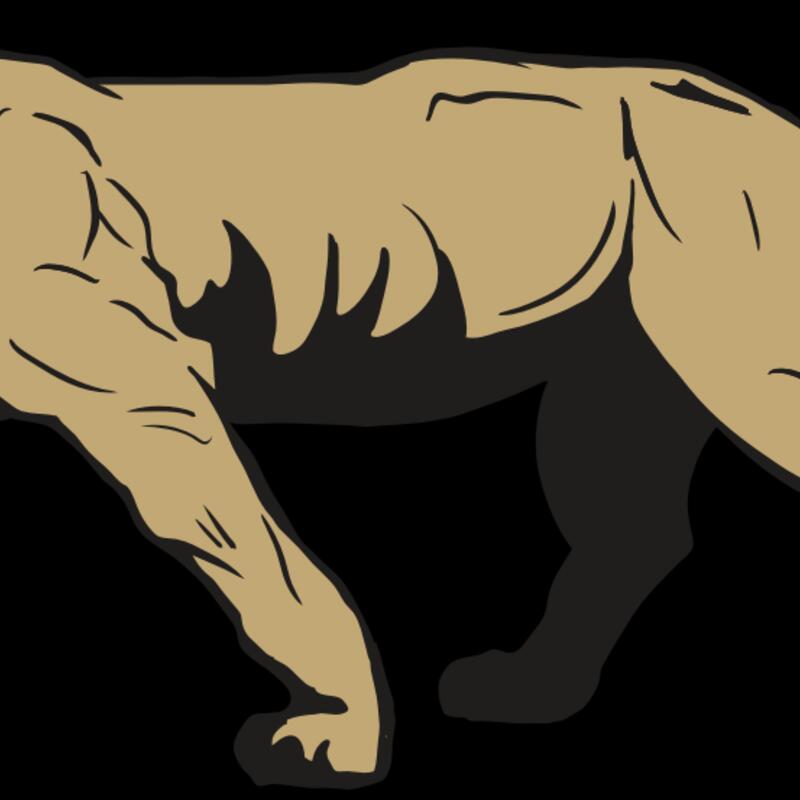 AR10 PANTHER 04 RQC Thumbnail