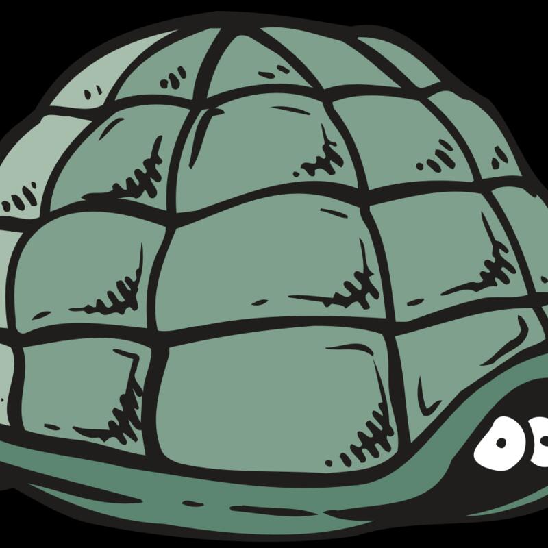 AR5 Turtle 10 RQC Thumbnail