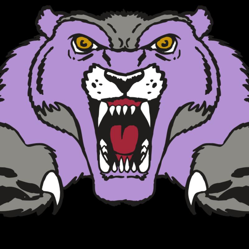 AR WOLVERINE 17 RC Thumbnail