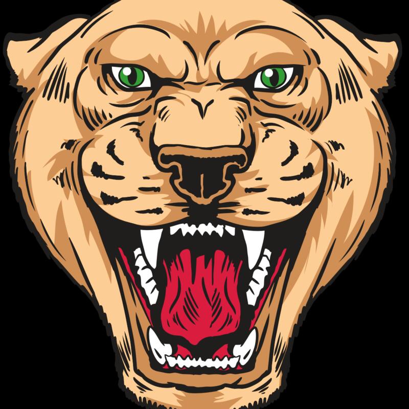 AR13 PNTHR 01 RQC Thumbnail