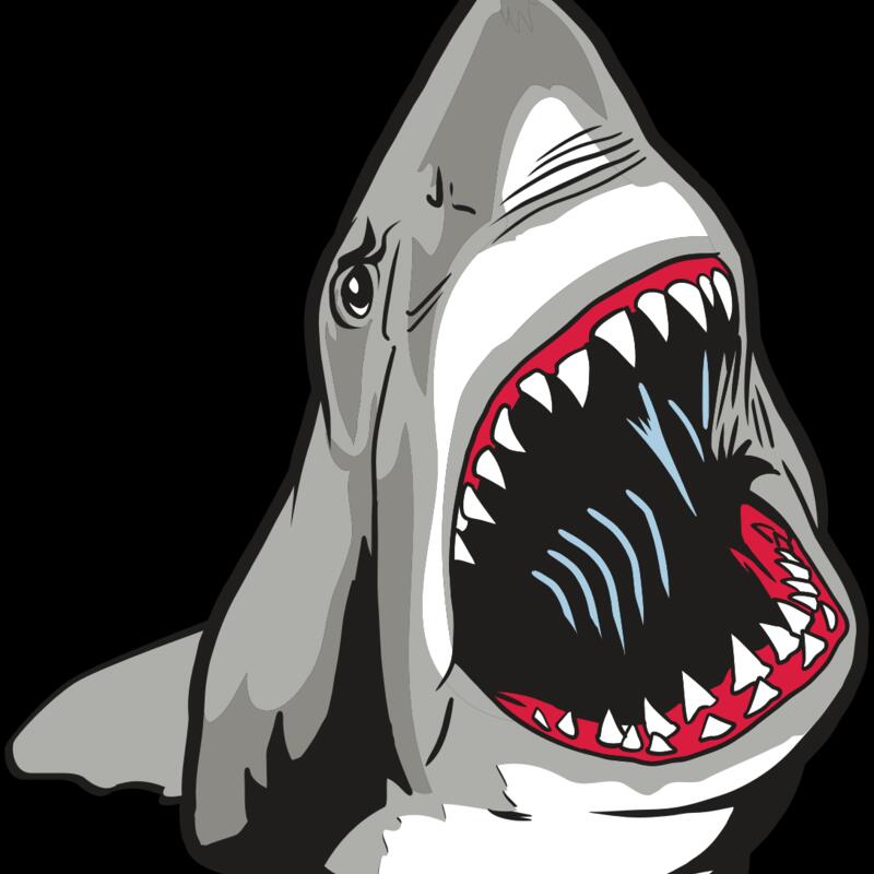 AR20 SHARK 45 RQC Thumbnail