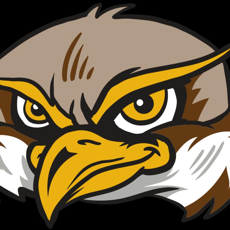 AR12 OWL 02 RQC Thumbnail