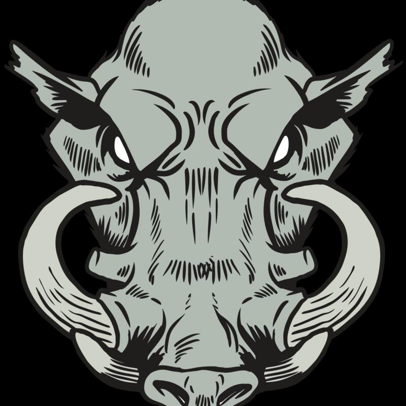 AR20 RAZORBACK 38 RQC Thumbnail