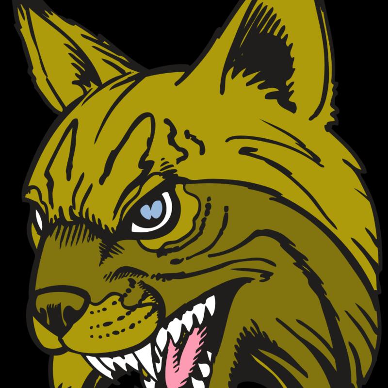 BAW BOBCAT 05 RC Thumbnail