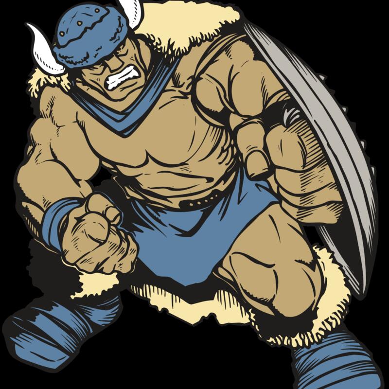 AR VIKING 36 RC Thumbnail