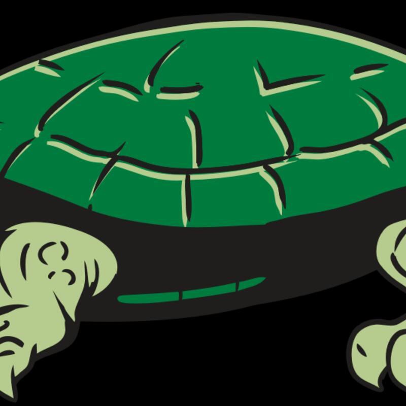 AR32 TURTLE 01 RQC Thumbnail