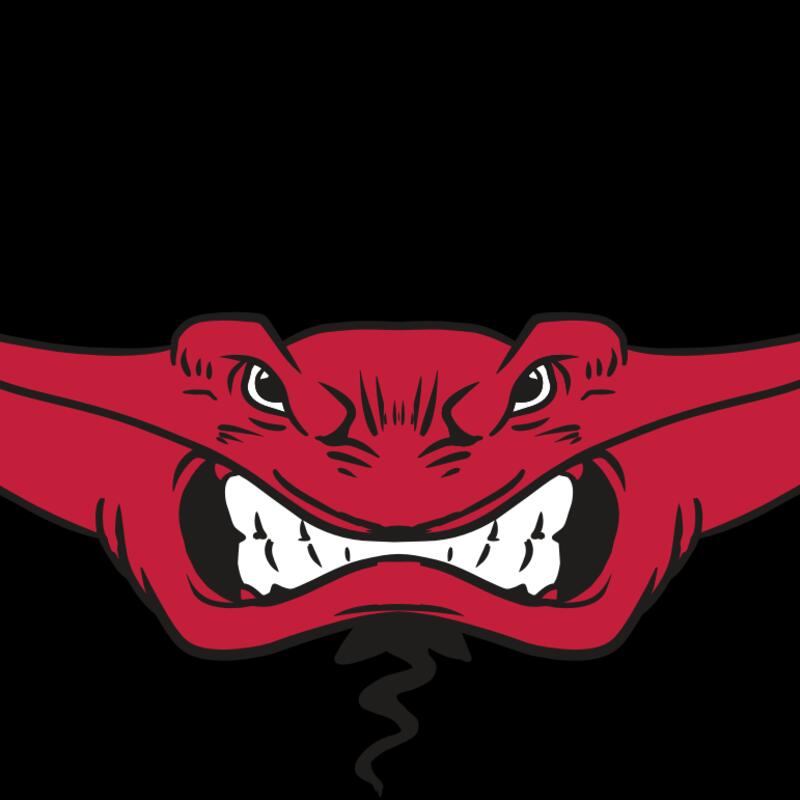 AR19 STINGRAY 03 RQC Thumbnail