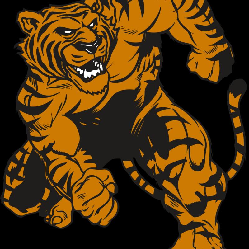 AR TIGER 58 RC Thumbnail