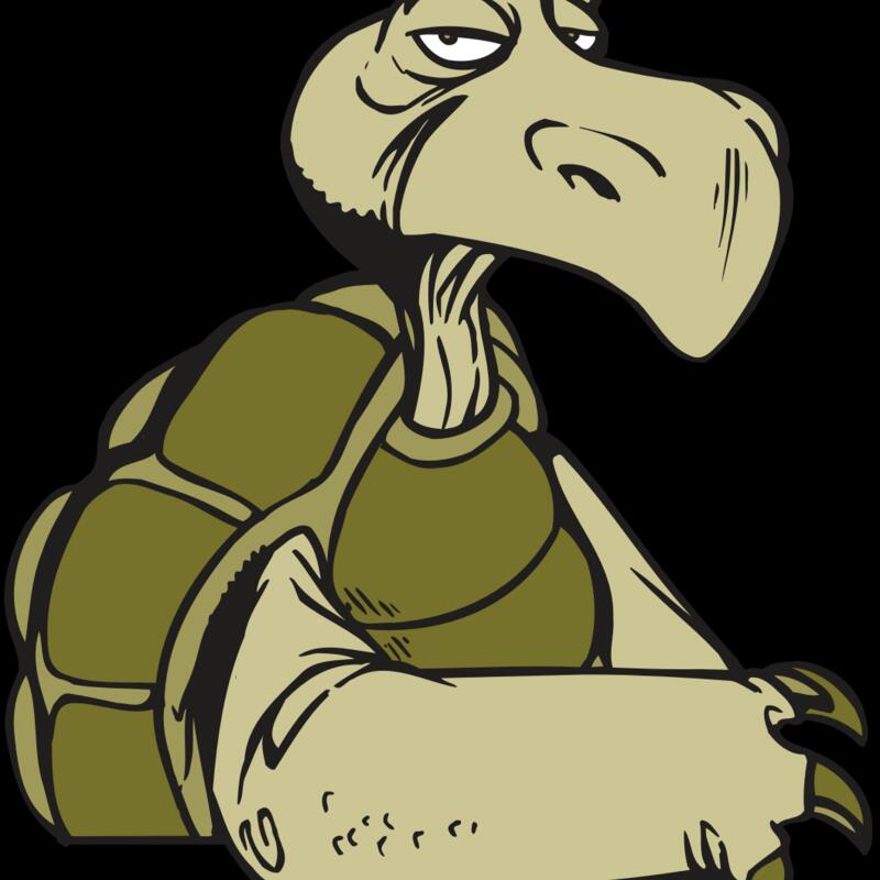 AR5 Turtle 01 RQC Thumbnail